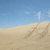 Ellen Jantzen - St. Louis, Missouri - Attaining Shadow