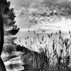 Ploutarcos Haloftis - Greece - untitled