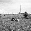 Robert Cocozza - Philadelphia, PA - Untitled 5