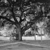 Pennsylvania Avenue & 36th Streets, Savannah, Georgia.