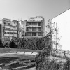 ThomasBeltsios11
