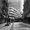 YanivW004