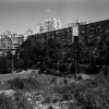 YanivW009