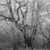 michaelBach1