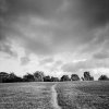 Where Paths May Lead