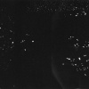 MadisonD04
