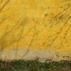 PavelP11