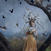 The Court Of The Dryad Queen