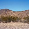 Marc Newton - Quartzsite, AZ 