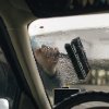 Rana Nicole Young - Untitled from Behind the Driver 