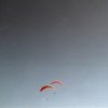 Viviana Levrino - Double fly