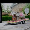 Yvette Meltzer - Runaway Elephant 