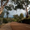 Bronwen Hyde - untitled #179 [omeo highway]