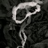 Alan Henriksen - Seaweed 43
