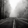 Alexander von Wiedenbeck - On the Road 