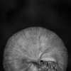 Anna Agoston - Untitled #134