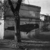 Anton Bulyonov -  Untitled 19