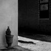 Aoife Shanahan - Anticipation