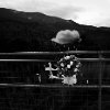 Carmesine Blauvent - In someones memory