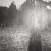 Cole Robertson - All images Untitled, from the Defaced Library Books Project.