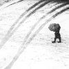 Danielle L Goldstein - Tracks