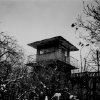 Kamil Sleszynski - Old prison wall#3