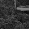Kinga Owczennikow - [city jungle]