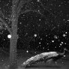 Leslie Hall Brown - First Snow