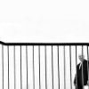 Marcin Ryczek - The Graph of Life