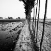 Ranbir Singh Sidhu - Samrari, India, 2011