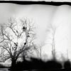 Samantha Sealy - untitled