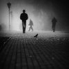 Steven Jensen - Morning Fog