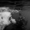 Kristianne Koch - Touching the Abandoned