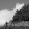 Agata Wiśniowska - Setting cloud