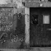 Ana Brotas - Entropy