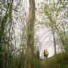 Anthony Bailey - Jaune
