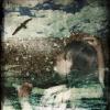 Elizabeth Ireland - Wishing