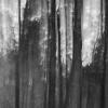 Ewelina Majkutewicz - silence
