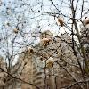Georges Salameh - one spring day