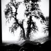Magdalena Switek - from the project PESTKA