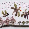 Mark Connelly - Flying Insects