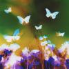 Natasha Bacca - Take Flight