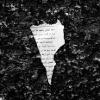 Tommaso Parrillo - Ungrateful heart 