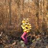 Adele Schelling - Vertumnus