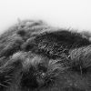 Camus Wyatt  - Ridge line