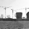 Ivana Jagušić - Cranes