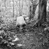 Jess Lehane - Untitled