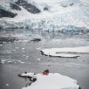 Lorraine Turci - Paradise Bay, Antarctica, 64°49′0" S 62°52′0"W 
