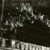 Nicola Jayne Maskrey - Chasing Shadows - wire