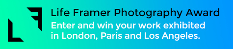 Life Framer Photo Award